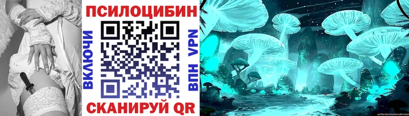Псилоцибиновые грибы Psilocybine cubensis  Темрюк 