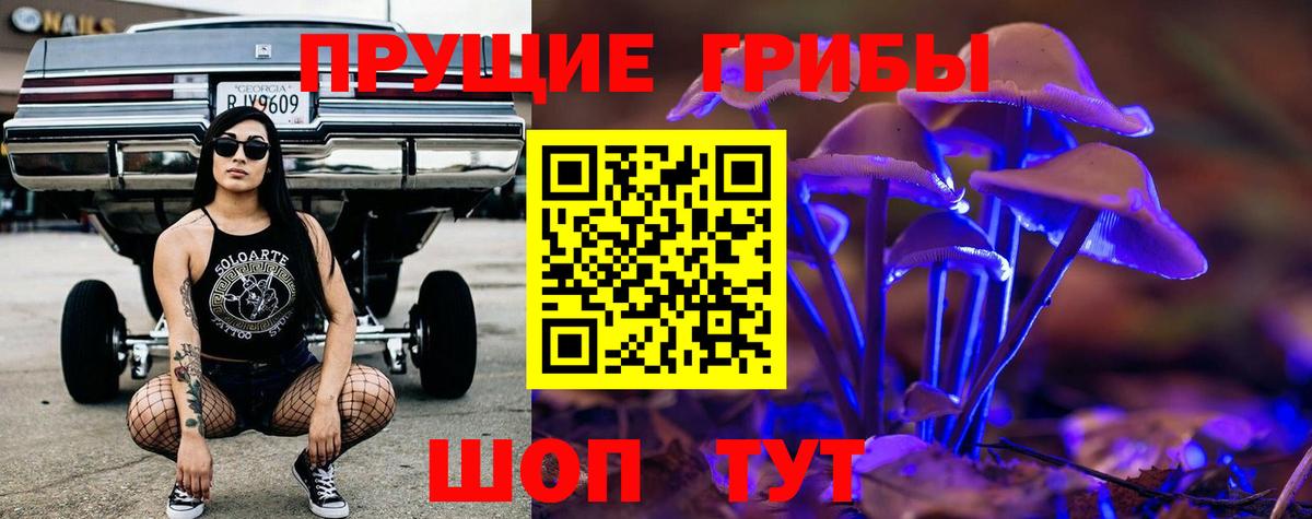 Галлюциногенные грибы Psilocybine cubensis Темрюк