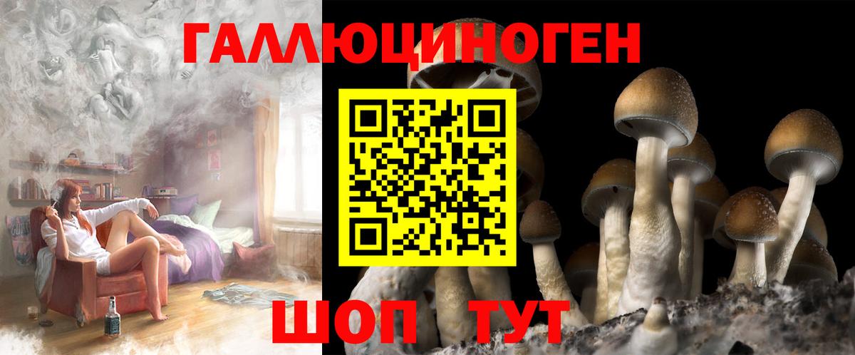 Галлюциногенные грибы мицелий  Вход с VPN  Темрюк 